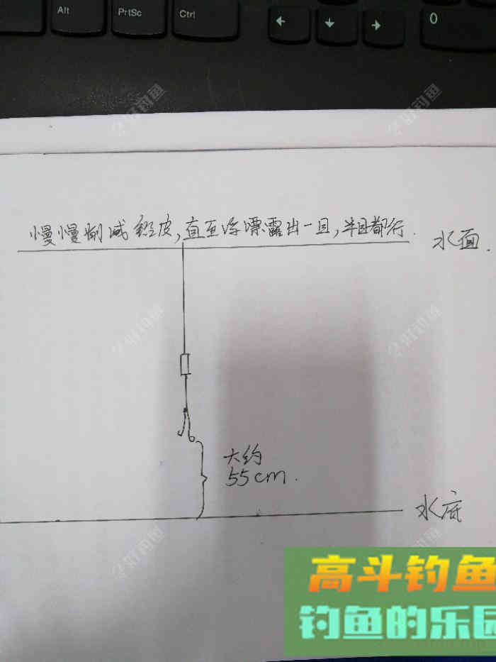 什么是半水调漂，半水调漂之我见