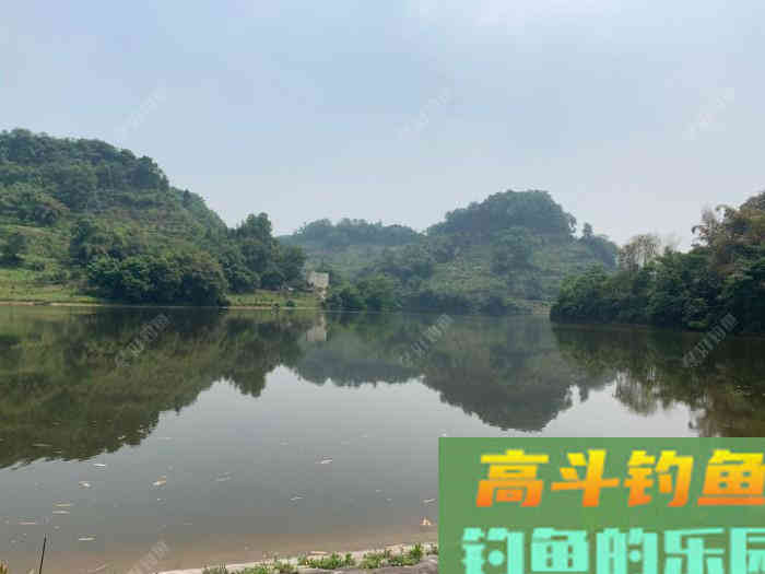 野钓适合调平水钓2目还是调4钓2目，看葫芦怎么玩