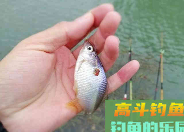 在漂相乱的情况下可直接套用的五种调整方案