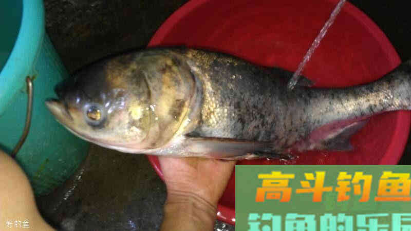 怎样才能成功找底？两个技巧来帮你