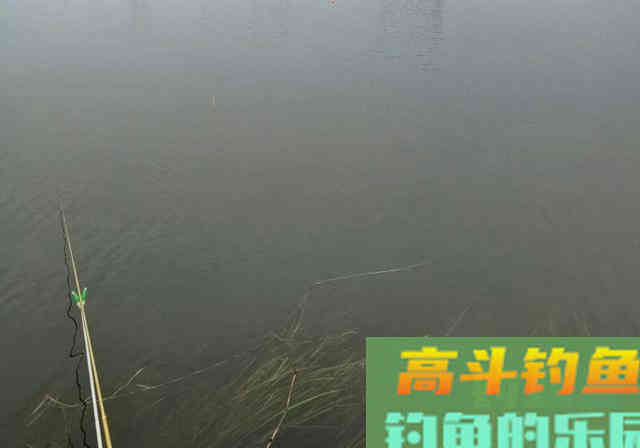浮漂有力下沉，提竿却无鱼！钓友别发愁，来看看