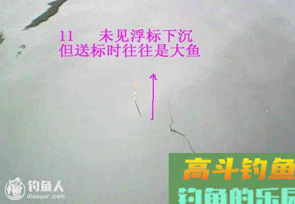 图解鲫鱼的常见咬钩信号漂像