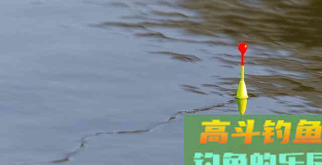 为什么你调钓之后钓不到鱼？老钓友教你如何判断