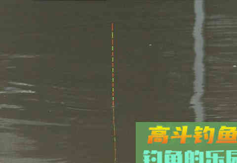新手调漂是，为何推动浮漂但漂目不变呢