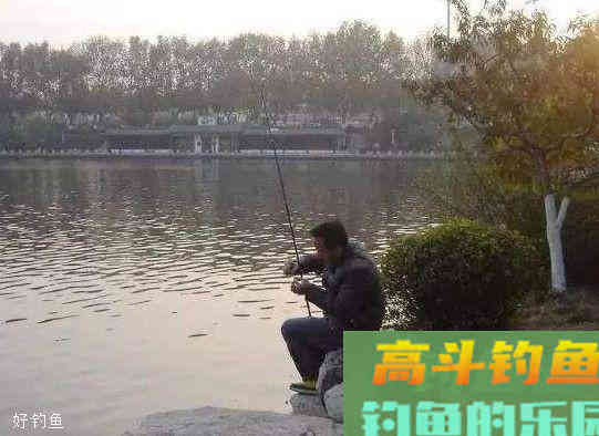 都是空钩调平水钓2目，为啥我的漂相更清晰？