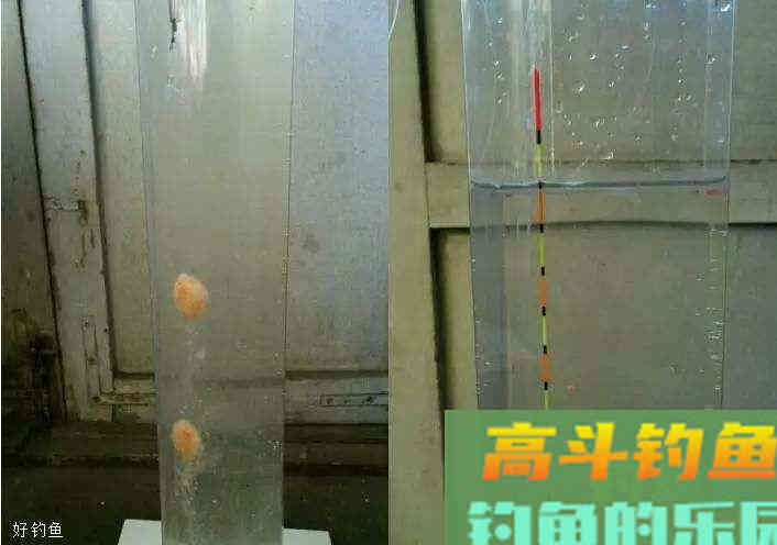 野钓鲫鱼调漂的3个简单技巧