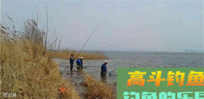 浮漂不出动作或有动作不中鱼，怎么办