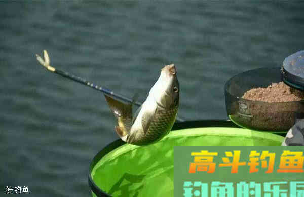 学会这3种基础调漂法，能应对大多数情况