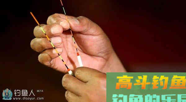 调漂中的各调目钓目区别