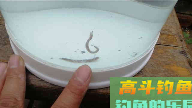 全网最详细的调漂讲解，这样在新手也能理解