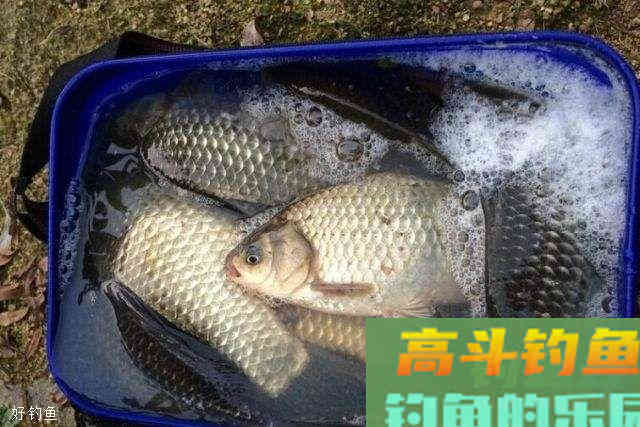 浮漂的灵与钝是什么意思？切勿只看字面意思