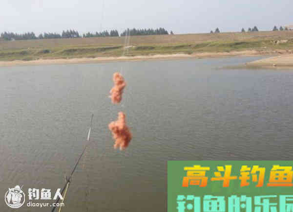 用饵调钓法与漂象的分析