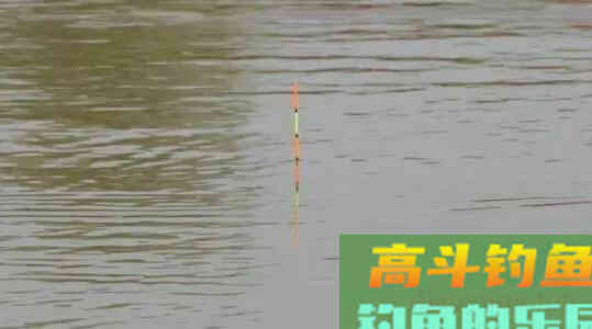 秋季野钓你还在用调四钓二吗？ 这样调漂，连杆不断