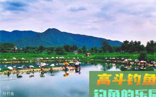 手竿调漂把握住，这7点，提竿必中鱼
