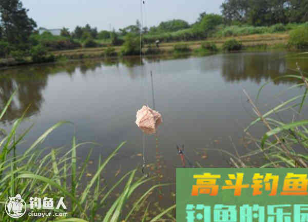 关于钓鱼调漂研究的几点疑问与看法