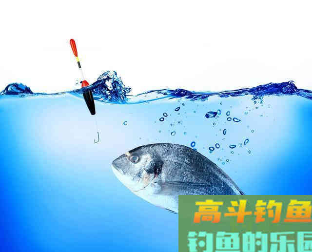 认清调漂灵与钝的本质渔获自然会提升