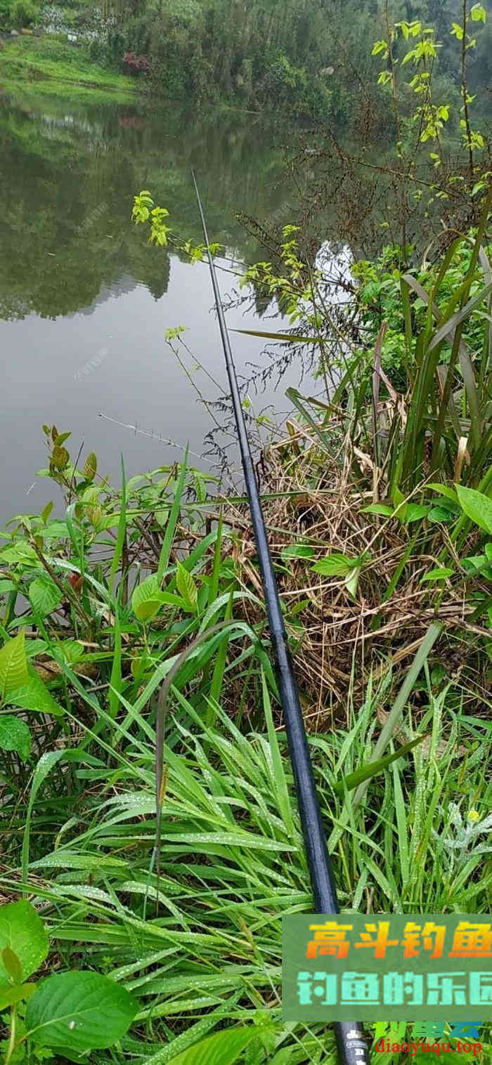 野钓适合调平水钓2目还是调4钓2目，看葫芦怎么玩