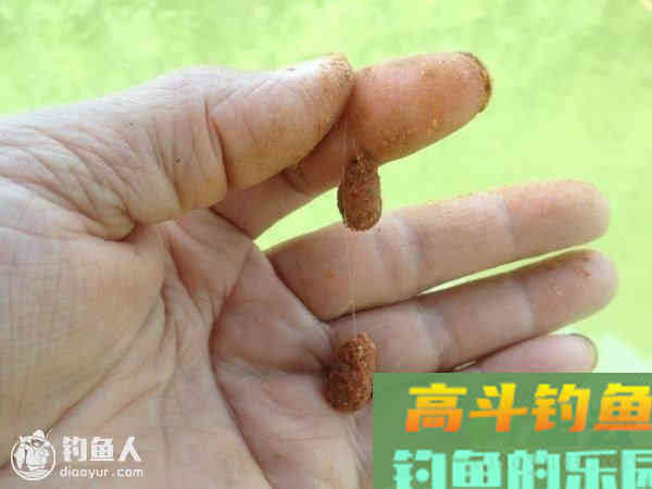 降低小鱼影响漂讯信号的四个方法
