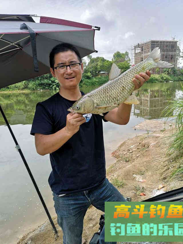 钓死口到底是什么漂相？调漂不同漂相也不同