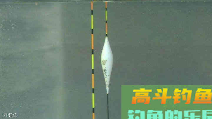 挂上饵后目数没变化？野钓要怎么调漂