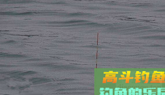 冬季钓鲫鱼怎么调漂？