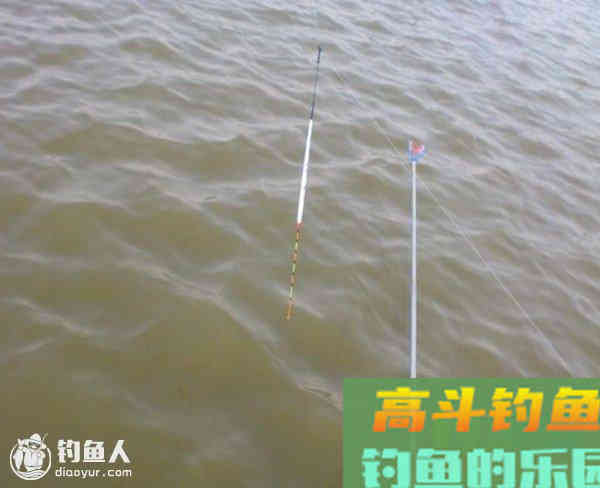 冬季垂钓的调漂三步骤