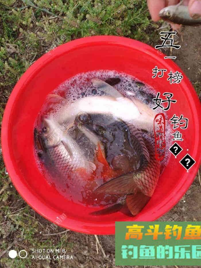 什么情况要调平水钓一两目，话空钩半水调漂