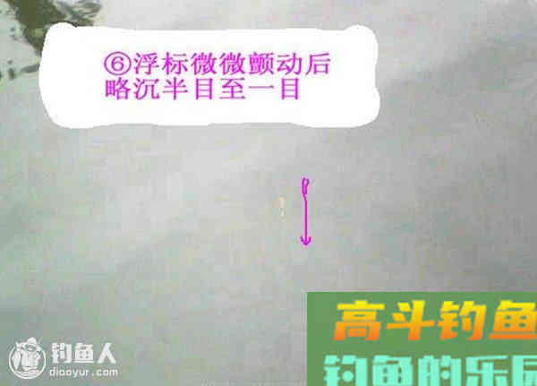 图解鲫鱼的常见咬钩信号漂像