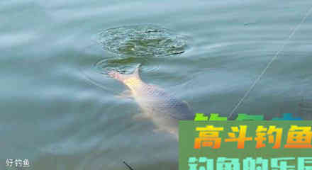怎么看漂相？虚假漂相的原因分析