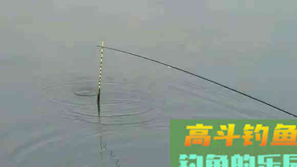 想要清晰的顿口，吃铅是要轻一点还是大一点