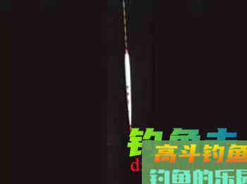 13种不同鱼情的选漂技巧