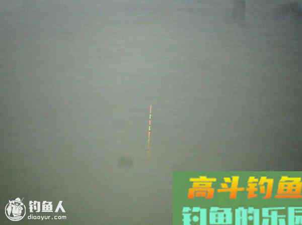 小议台钓调漂的理解之浅见