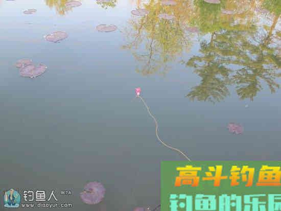 三种简易快速的调漂方法（带饵和分步）