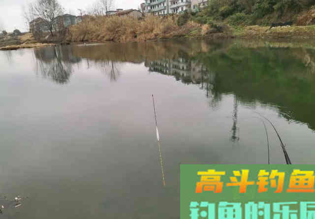 钓鱼找底有多重要？并非全为调漂