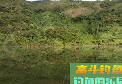 野钓带饵调漂最实用，老钓友野钓带饵调漂技巧
