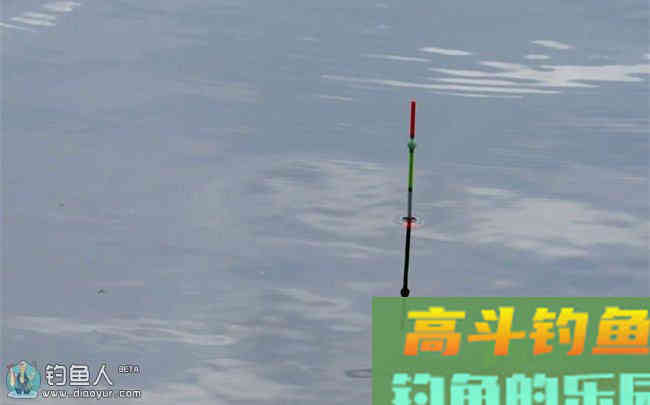 不同鱼种吃食时的浮漂动作与规律介绍
