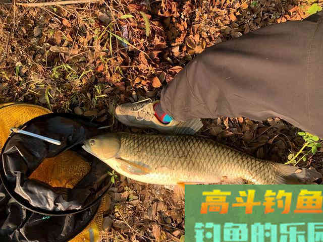 好浮漂真的更容易出顿口？其实不然，抓口只和这项有关