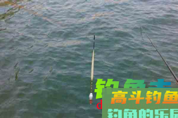 如何避免小鱼闹窝？先了解调漂和看漂相 