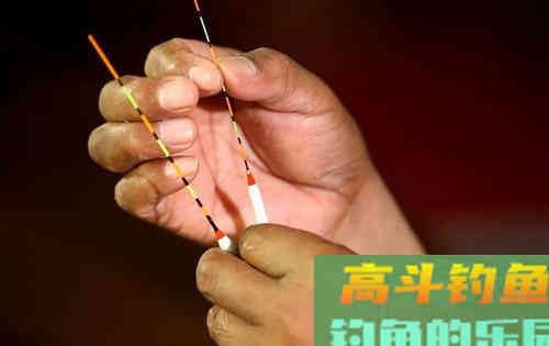 徐清华谈轻口鱼的垂钓调钓技巧