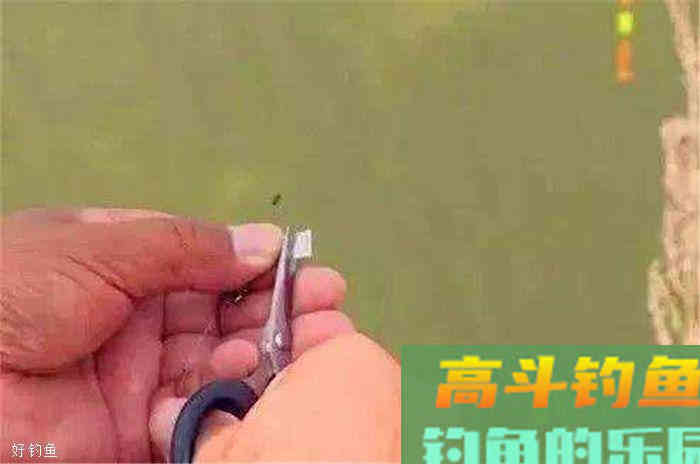 钓鱼怎么调漂和找底，这四个步骤让你一目了然