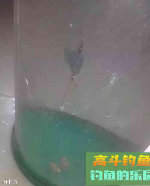 半水调漂挂蚯蚓饵的7个步骤