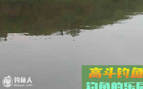 手竿钓鱼调漂，三个步骤轻松学会