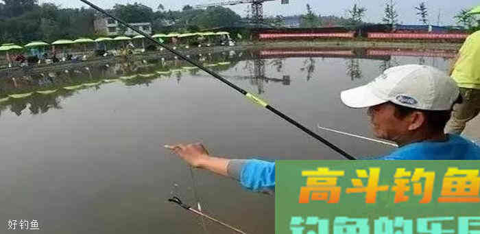 台钓中，为何浮漂有信号却空竿？