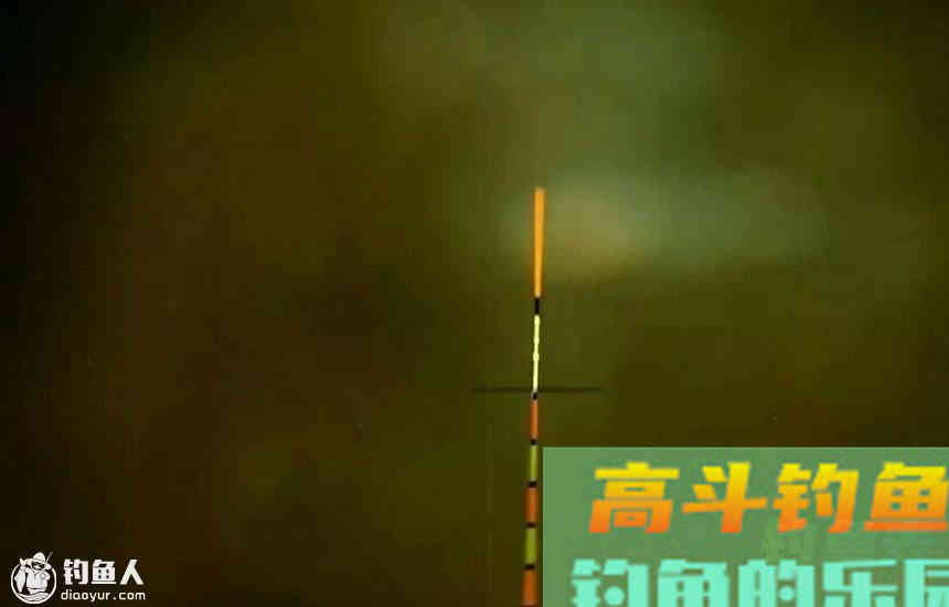 深度分析为什么黑漂提竿却不中鱼