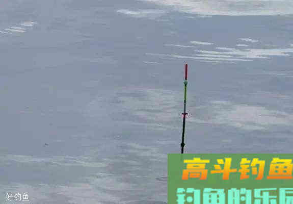 以调四钓二为例，掌握饵在水下的状态