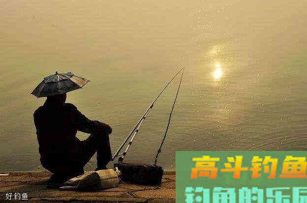如何精准调漂和剪铅，这些钓鱼小技巧要学会