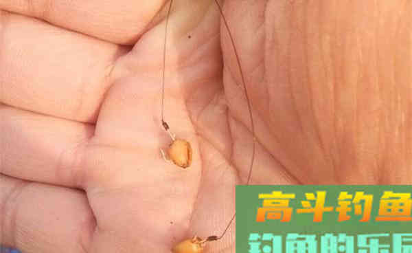 钓鱼调漂技巧：用饵重量不同，调漂方法大不同