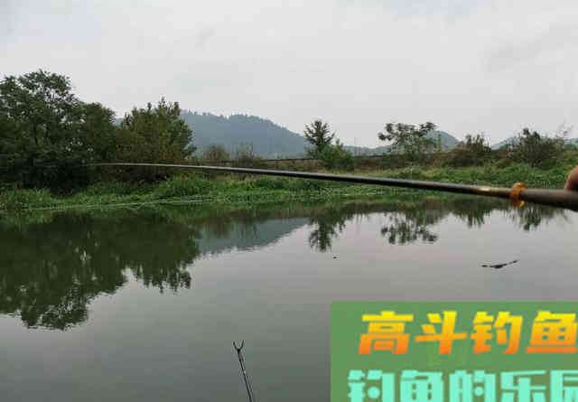 换支浮漂就能解决走水问题？别被骗了，遇到走水你该这样做