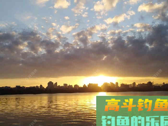 浮漂性能与调钓技巧，调好漂是爆护最关键一步