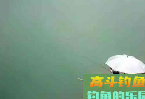 野钓调漂，真没有那么多讲究，只要会钓钝抓死口